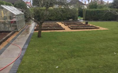 Budget Landscaping Ideas for UK Homeowners (That Won’t Make Your Wallet Cry)