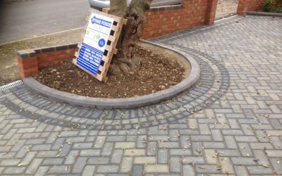 How to Choose the Right Plants for Your Driveway Edging?